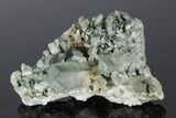 Chlorite Included Quartz Crystal Cluster - Baluchistan, Pakistan #175089-3